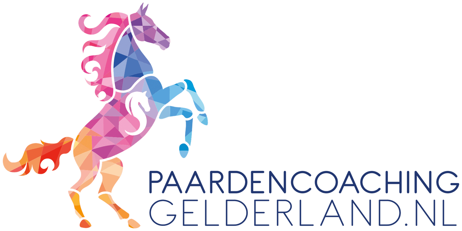 Paardencoaching Gelderland logo met tekst