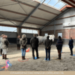 Paardencoach Gelderland Nederland organisatieopstelling paard