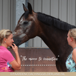 Paardencoaching-Gelderland-Nederland-5x5-gratis-e-book