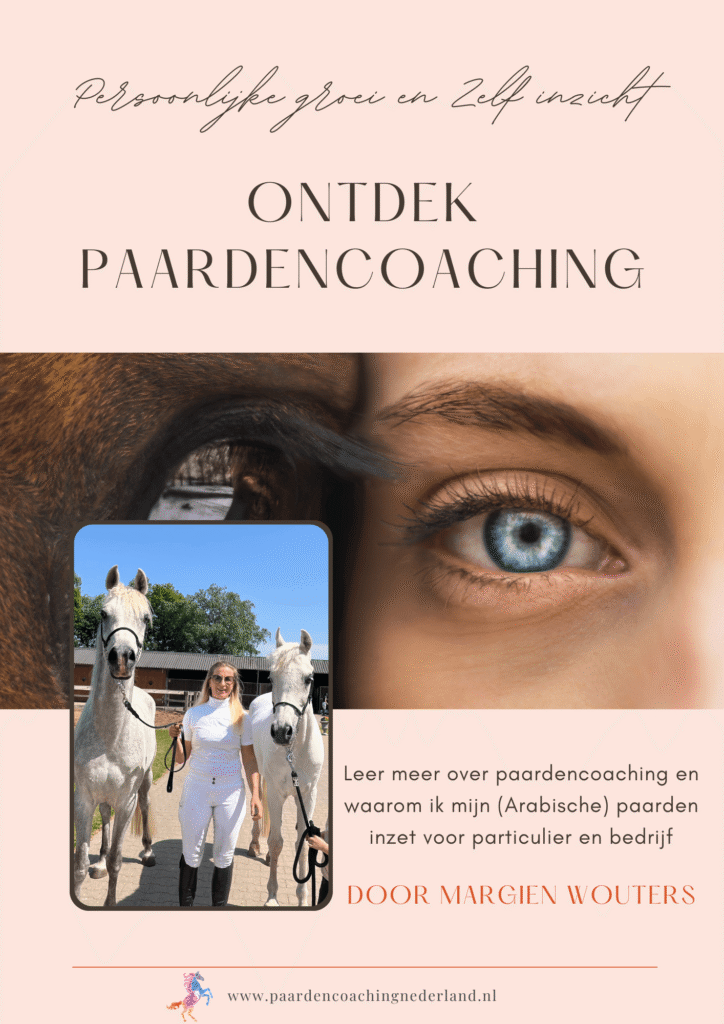 gratis-e-book-paardencoaching nederland gelderland nijmegen