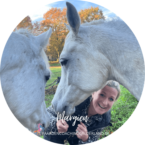 paardencoach gelderland nijmegen arnhem ede wijchen
