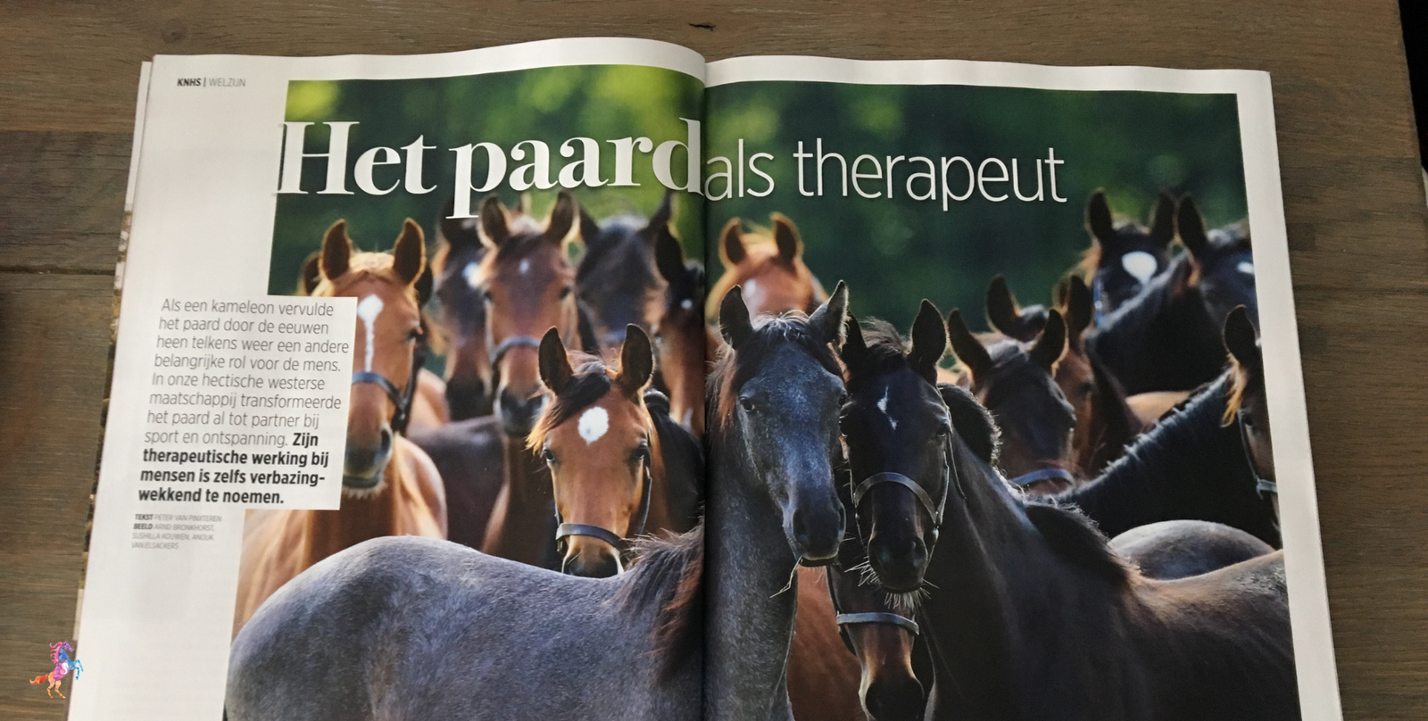 paardencoaching gelderland arnhem nijmegen ede wijchen