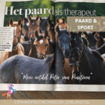 paardencoaching gelderland artikel paard als therapeut knhs