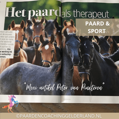 paardencoaching gelderland artikel paard als therapeut knhs